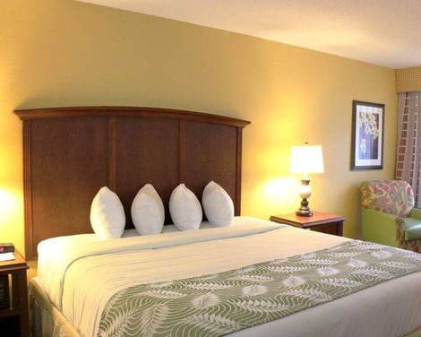 Rosen Inn International
