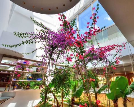 Kalyves Beach Hotel-3