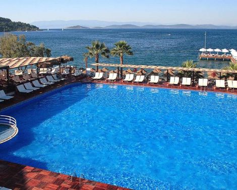 Voyage Torba
