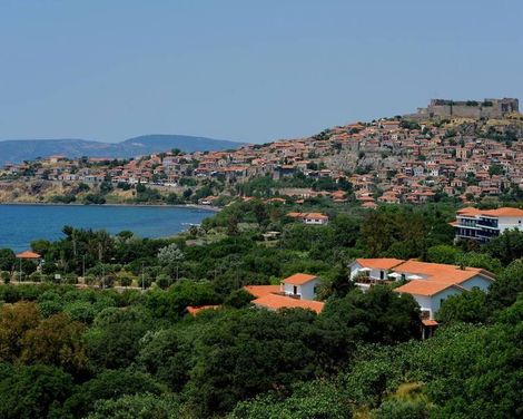 Delfinia Hotel & Bungalows-2