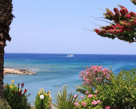 Crystal Springs Beach Hotel