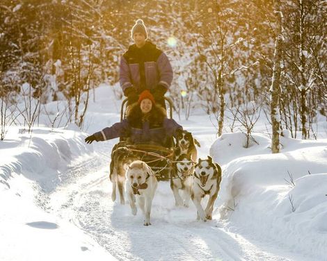 Scandic Rovaniemi City incl. Transfer & Husky & Nordlichter Tour