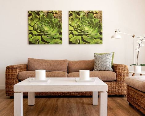 Canaima Apartments