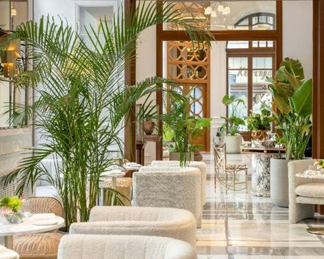 THE DOLLI at Acropolis, A Hotel to Live
