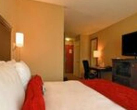 Comfort Suites Sarasota-Siesta Key
