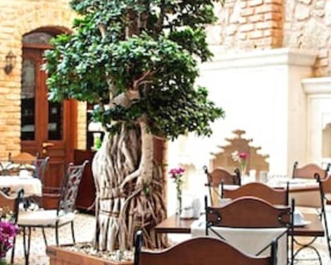 Celine Hotel-3