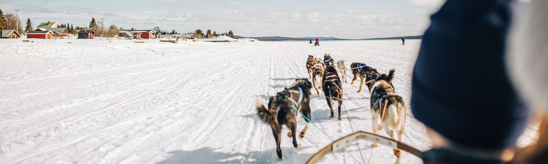 Ein Husykschlitten fährt durch die verschneiten Weiten von Lappland, Finnland.