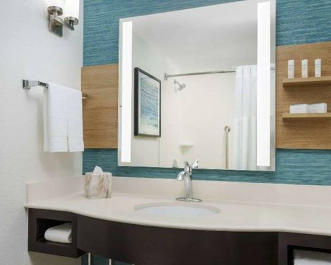 Hilton Garden Inn Orlando at SeaWorld-0