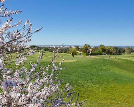 Vale d'Oliveiras Quinta Resort & Spa-3