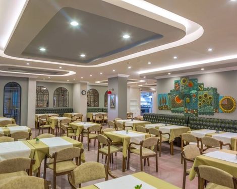Villa Sunflower Hotel