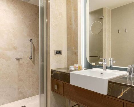 Ramada Plaza by Wyndham Istanbul Tekstilkent