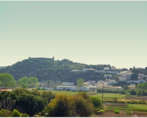 Vicentina Aparthotel