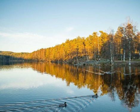 Olympiatoppen Sportshotel, Part of Scandic