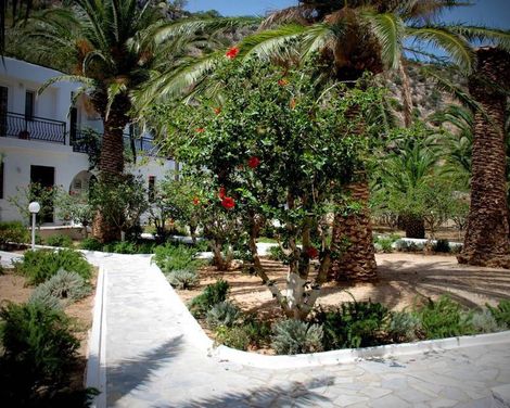 Avra Palm-3