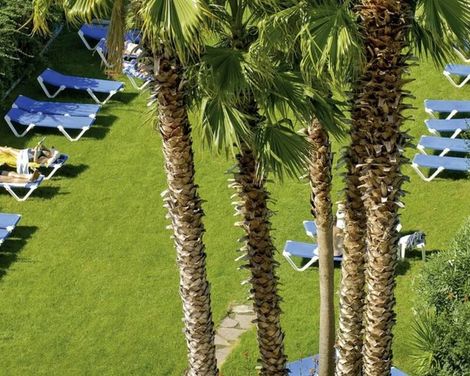 Tropic Park