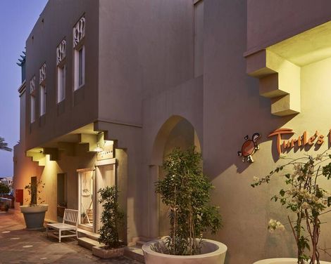 Turtle's Inn-2