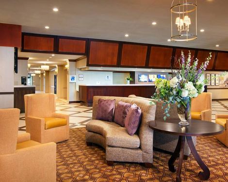 Sheraton Park Hotel at the Anaheim Resort-2