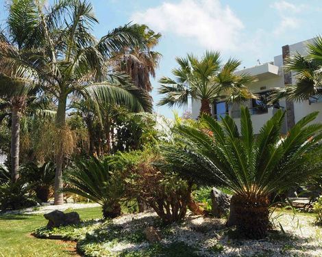 Sentido Kyknos Beach Adults Only 16+