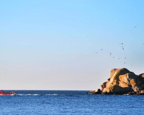 Hotel Norat Palmeira Playa