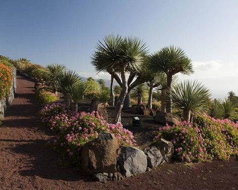 Parador de La Palma