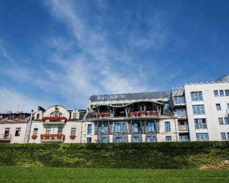 Niebieski Art Hotel & Spa-3