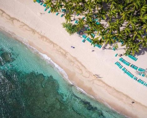 Senator Puerto Plata Sublime Collection-0