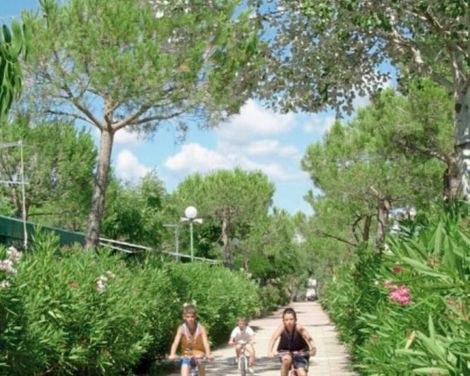 Camping Free Beach - Mobile Homes by Happy Camp-0