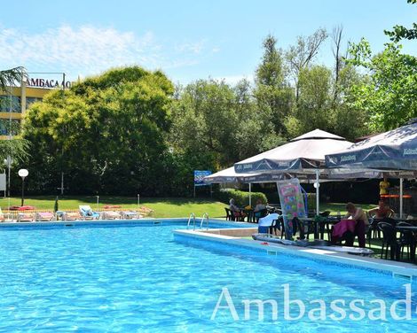 Ambassador