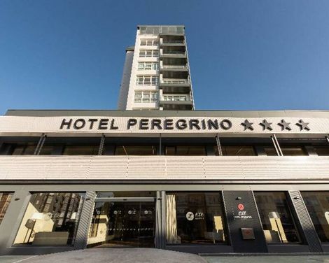 Exe Peregrino-1