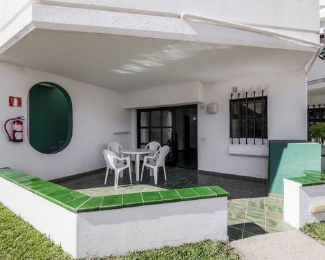 Heliomar Palmeras-3