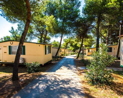 Arena Indije Campsite