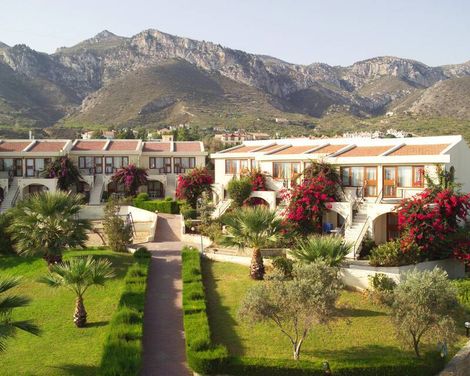 The Olive Tree Hotel