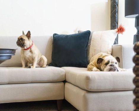 Hotel Spero Vignette Collection-1