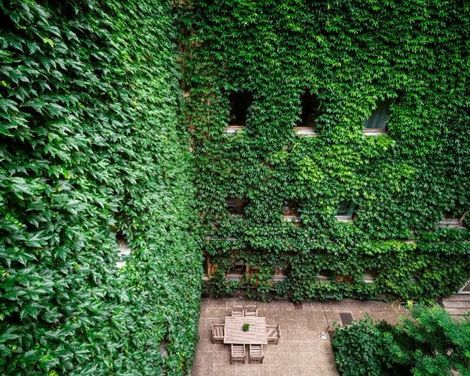 Kunsthof-0