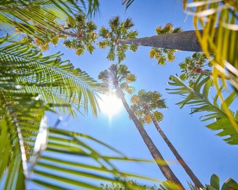 Sol de Alcudia Apartamentos-0