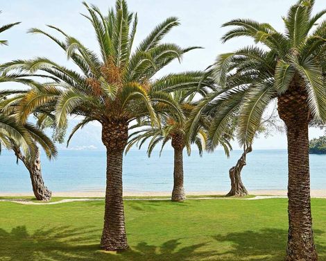 Grecotel Daphnila Bay
