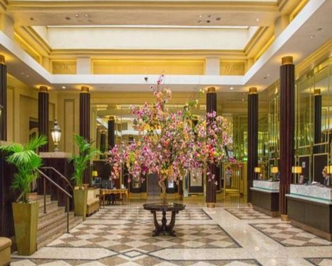 The Midland