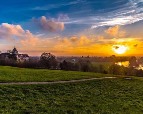 The Petersham
