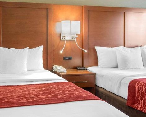 Comfort Inn & Suites San Francisco Airport North-2