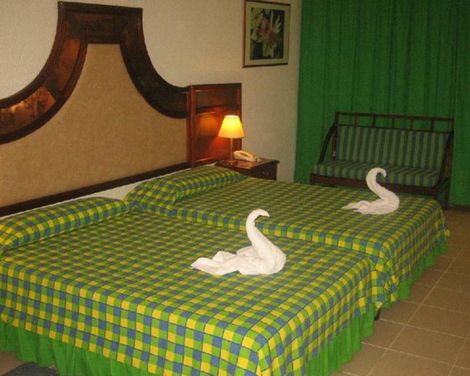 Hotel Los Cactus-2