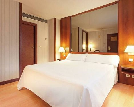Hotel Madrid Leganés-2