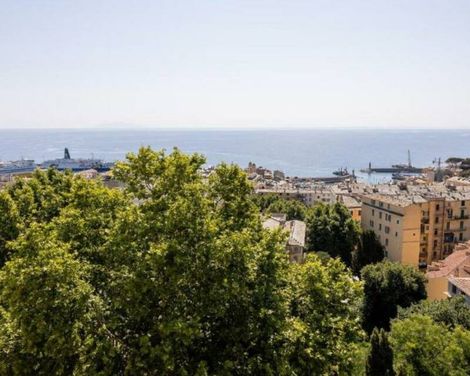 Adonis Le Bastia