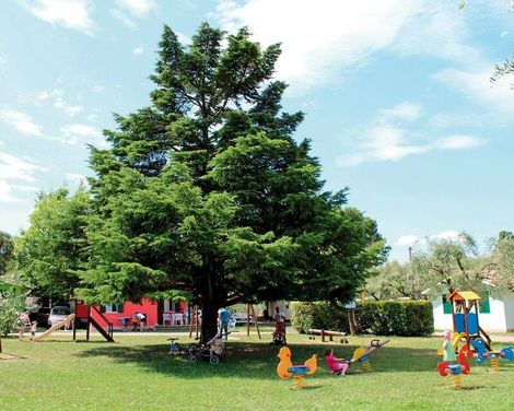 Camping Cisano & San Vito