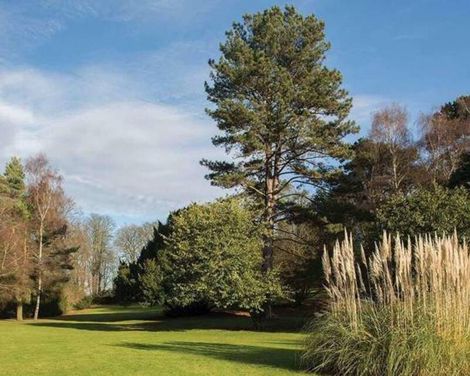 Brandshatch Place Hotel & Spa