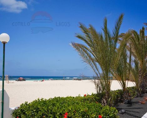 Cotillo Lagos
