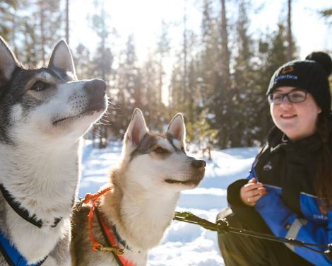 Forest Pine Hotel incl. Transfer & Husky & Nordlichter Tour