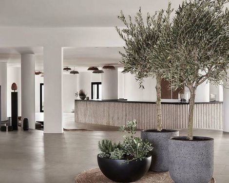 Orama Hotel & Spa