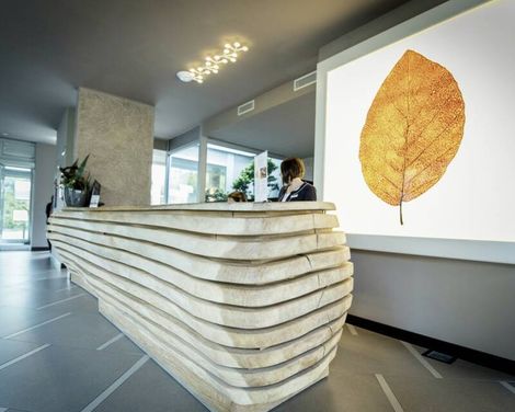 Aqualux Hotel Spa Suite & Terme Bardolino