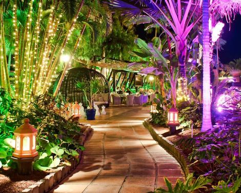 Hotel Parque Tropical