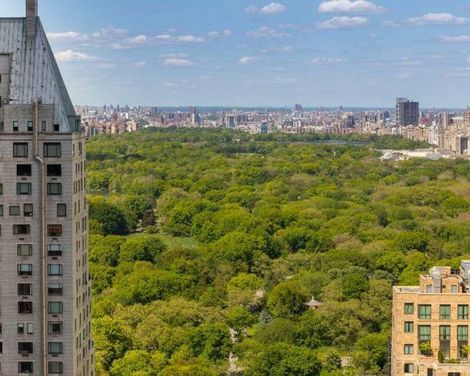 Thompson Central Park New York-0